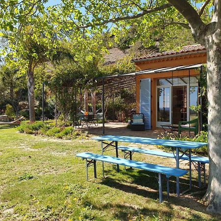 House With Garden And Sea View Villa La Londe-les-Maures Bagian luar foto
