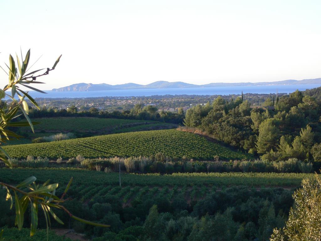 House With Garden And Sea View Villa La Londe-les-Maures Ruang foto