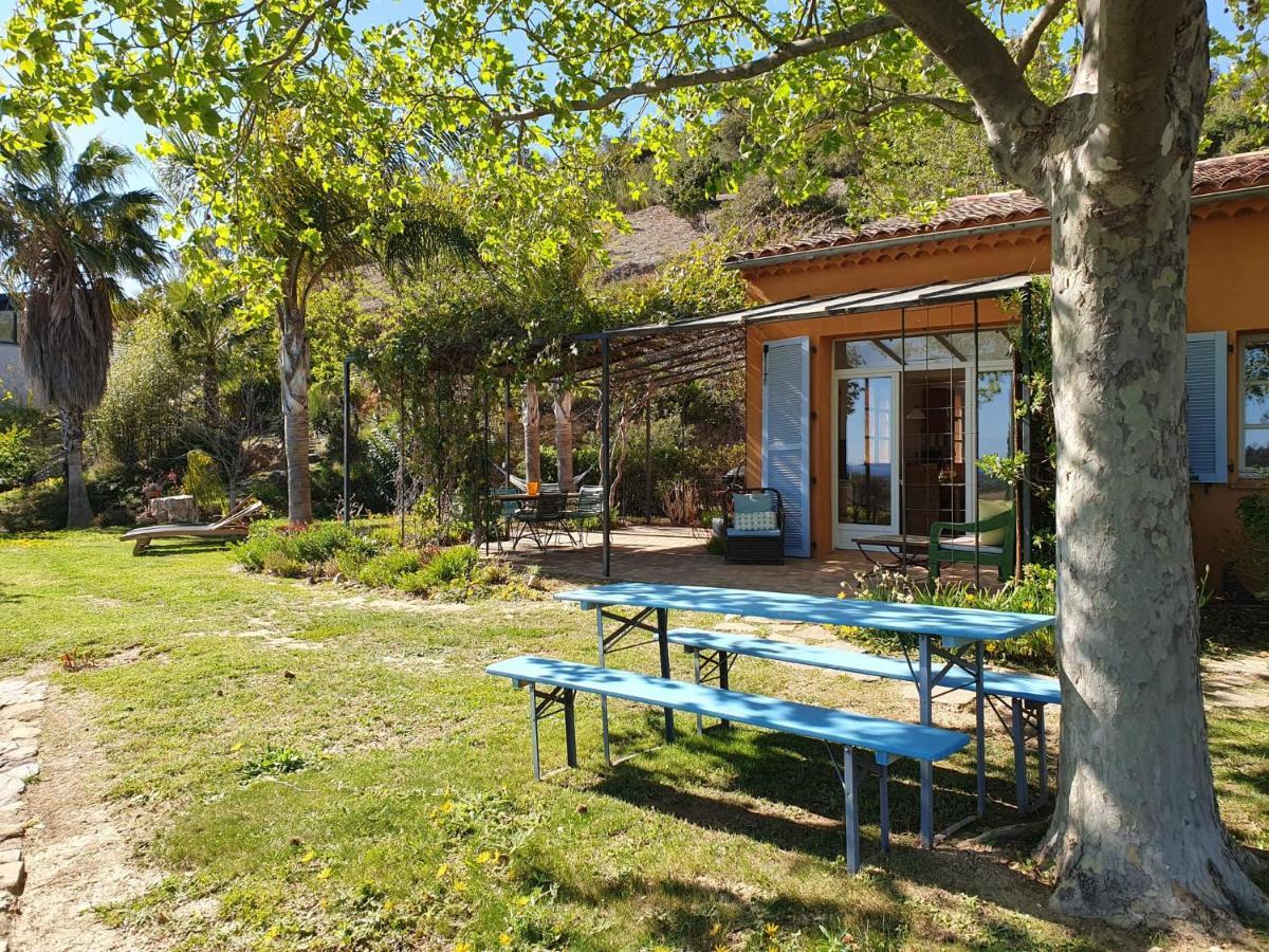 House With Garden And Sea View Villa La Londe-les-Maures Bagian luar foto