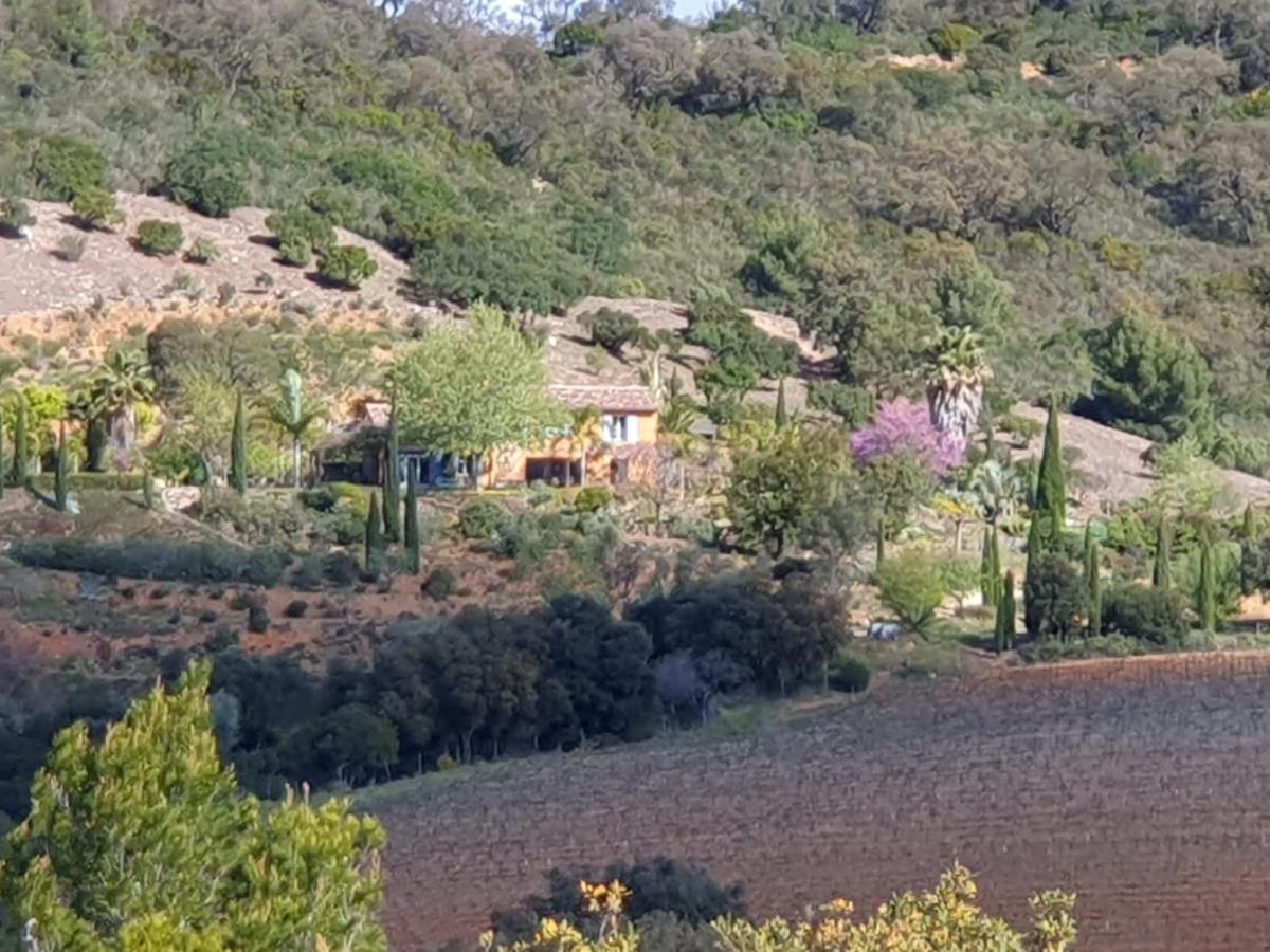 House With Garden And Sea View Villa La Londe-les-Maures Bagian luar foto