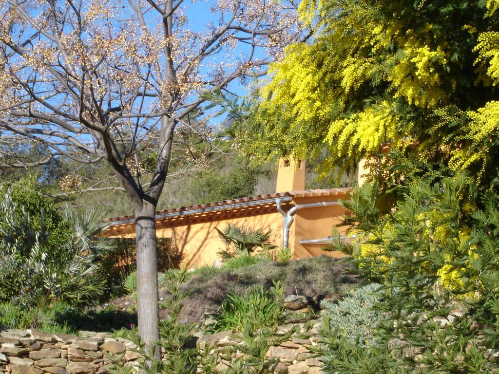 House With Garden And Sea View Villa La Londe-les-Maures Ruang foto