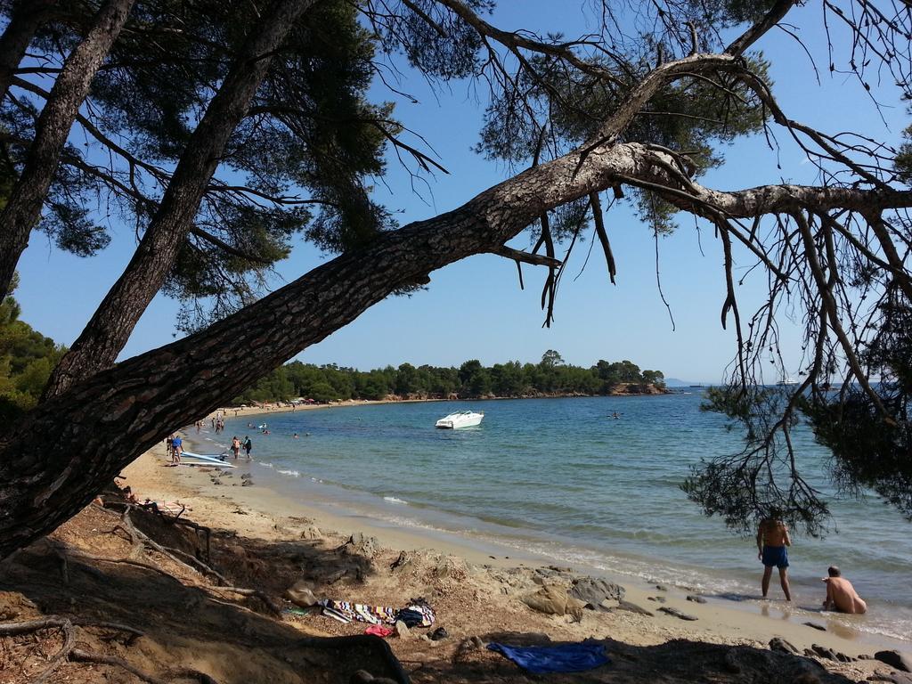 House With Garden And Sea View Villa La Londe-les-Maures Ruang foto
