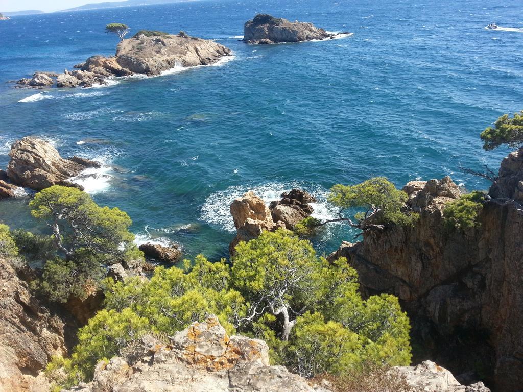 House With Garden And Sea View Villa La Londe-les-Maures Bagian luar foto