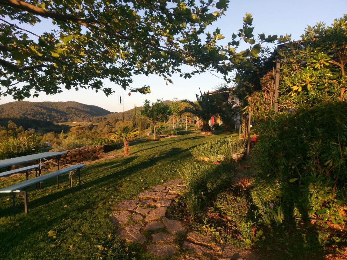 House With Garden And Sea View Villa La Londe-les-Maures Bagian luar foto