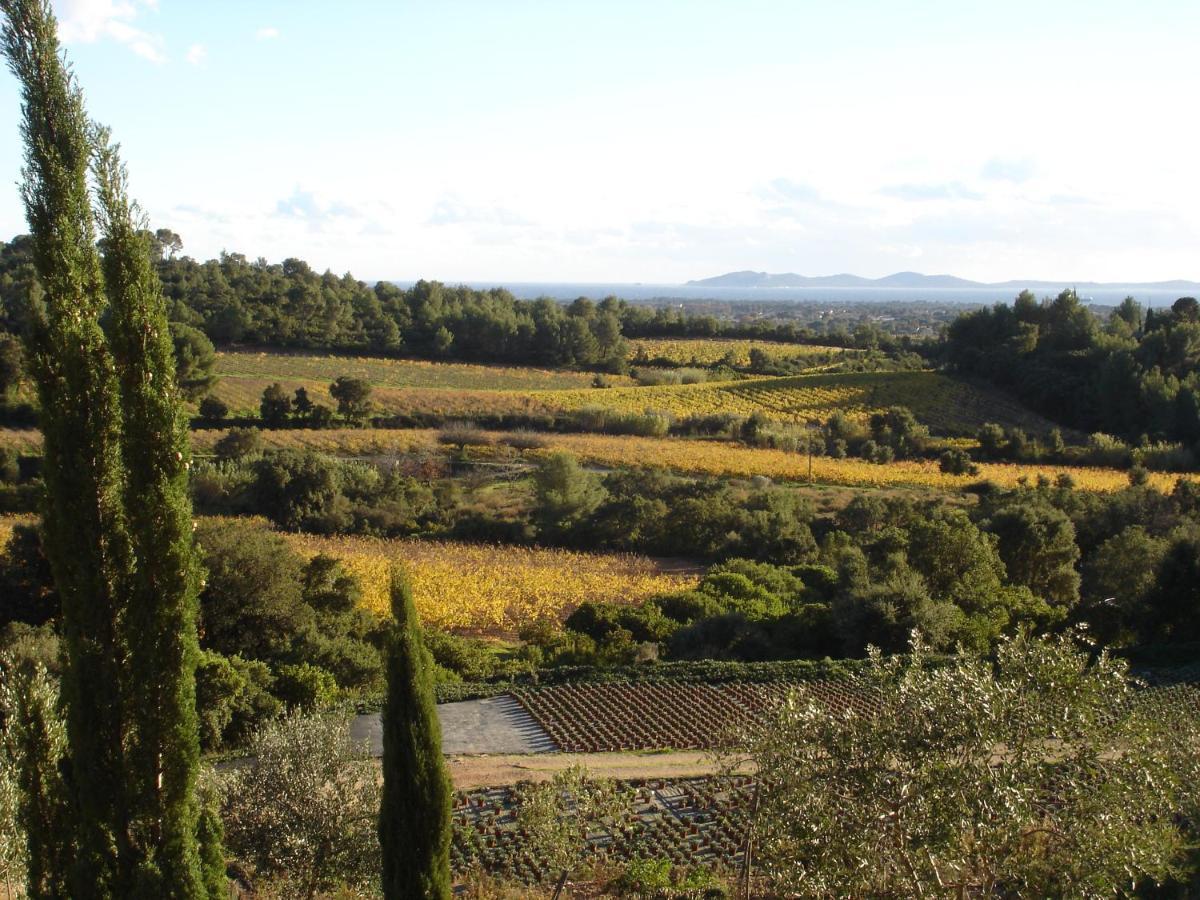 House With Garden And Sea View Villa La Londe-les-Maures Bagian luar foto